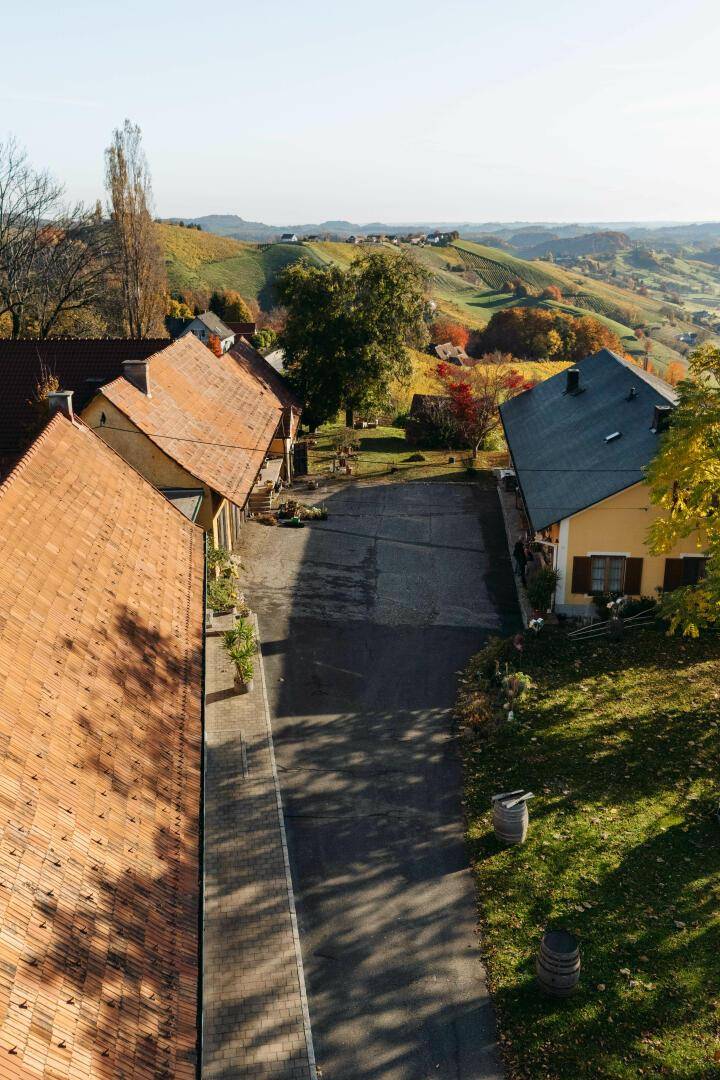 Vertikale Ansicht des gepflasterten Weges zwischen den Gebäuden des Anwesens, umgeben von Grünflächen.