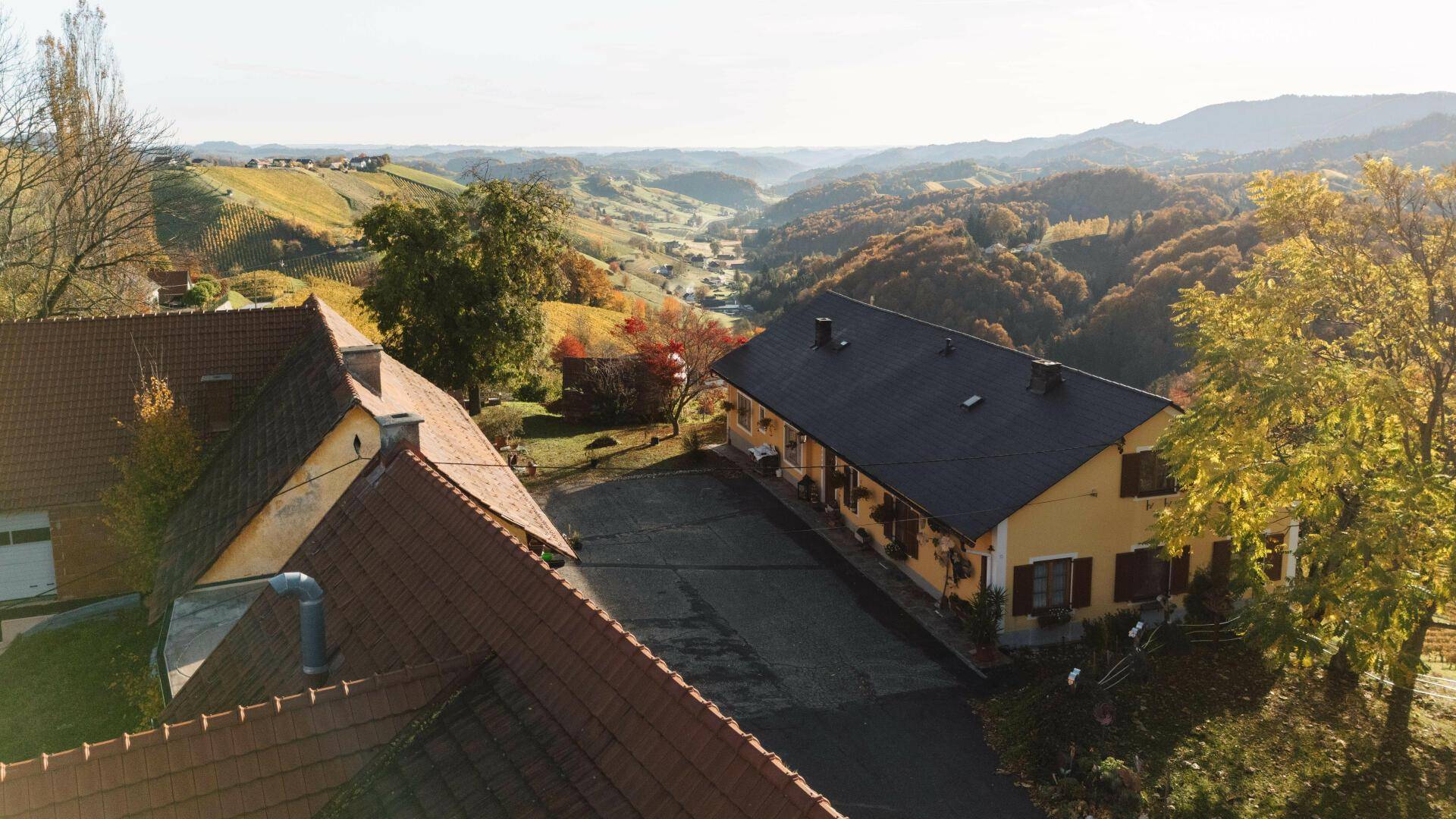 Luftaufnahme eines Gebäudes mit dunklem Dach, umgeben von herbstlichen Bäumen und der malerischen Weinbergslandschaft.