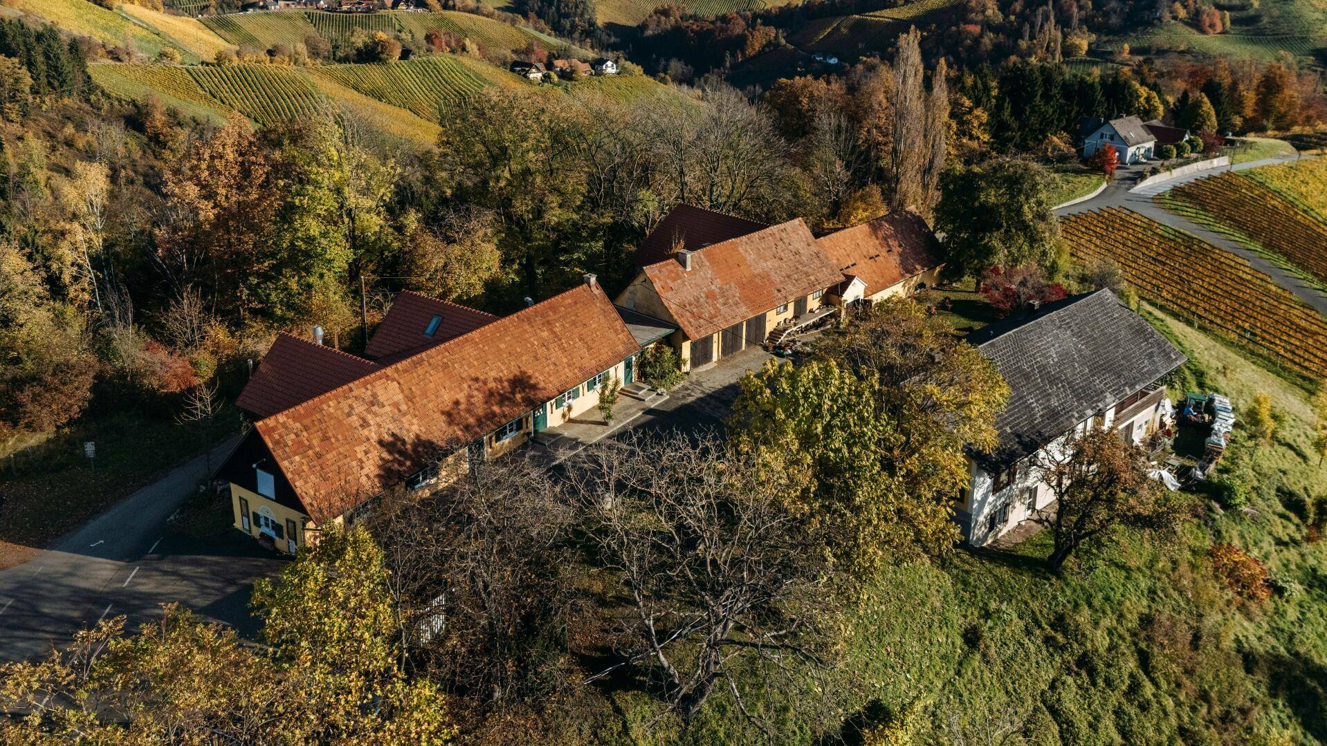 Luftbild des Anwesens mit mehreren Gebäuden und angrenzenden Weinbergen in der herbstlichen Hügellandschaft.