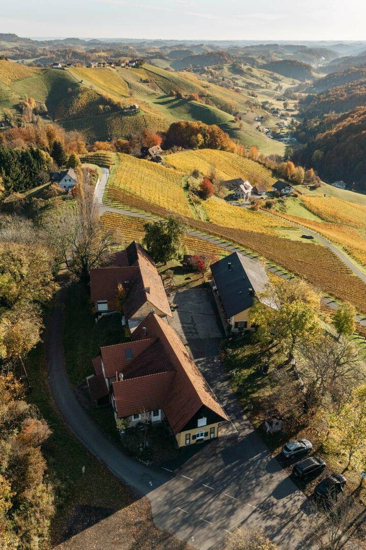 Vertikale Luftaufnahme eines Gebäudekomplexes mit Parkplatz, eingebettet in die herbstliche Weinbergslandschaft.