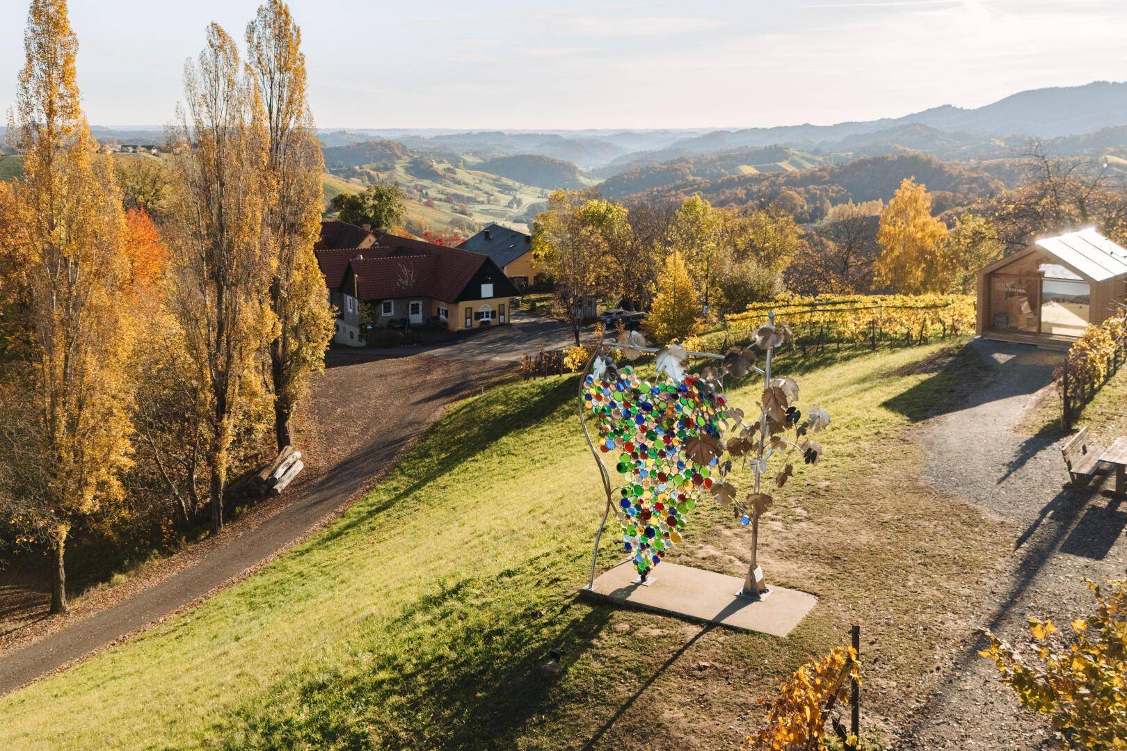 Weitläufige Landschaft mit Weinbergen, einem Kunstwerk und einem kleinen Holzhaus, umgeben von herbstlichen Bäumen.
