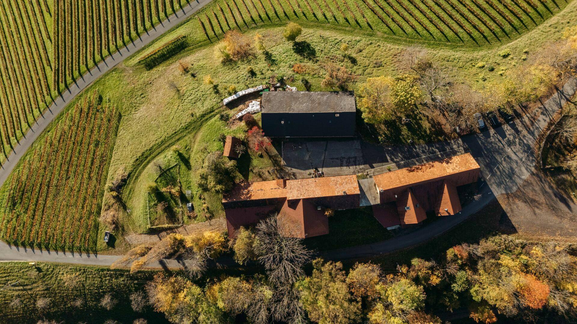 Luftaufnahme des Anwesens mit Gebäuden, Weinbergen und umliegender grüner Landschaft.