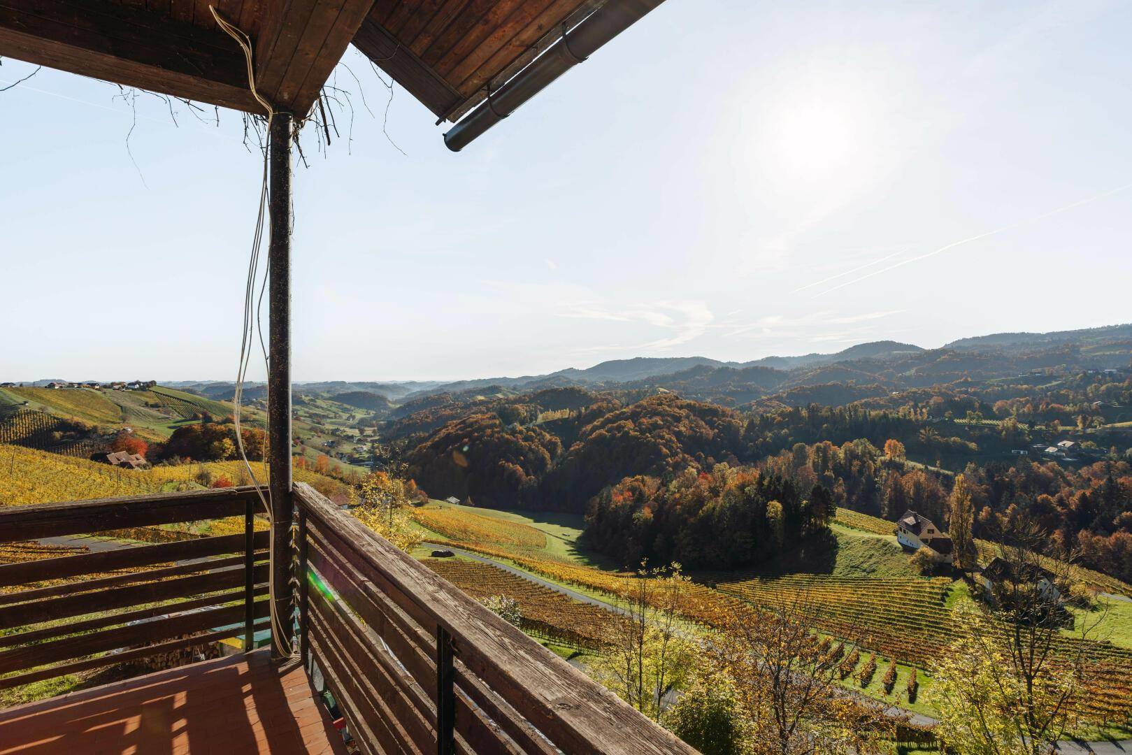 Überdachter Außenbereich mit Holzbalken und weitem Blick auf die sonnigen Weinberge.