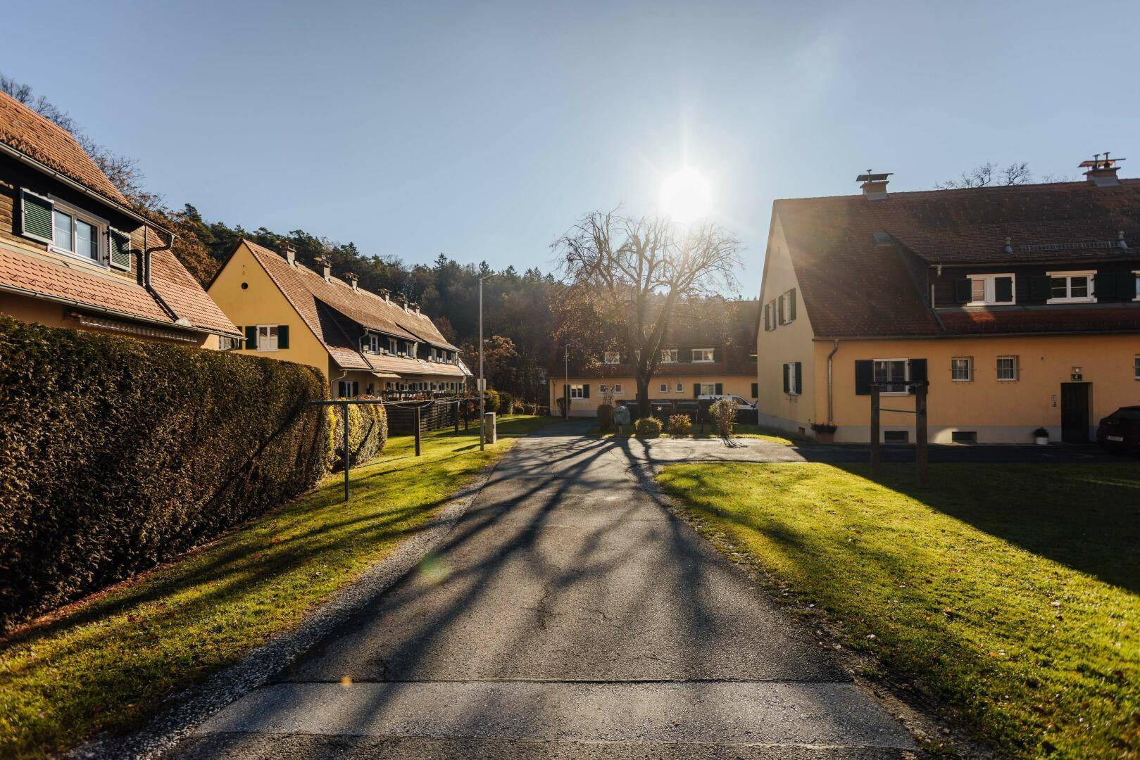 Sonnige Wohnsiedlung mit traditionellen Häusern, grünen Gärten und einer Zufahrtsstraße, umgeben von Bäumen.