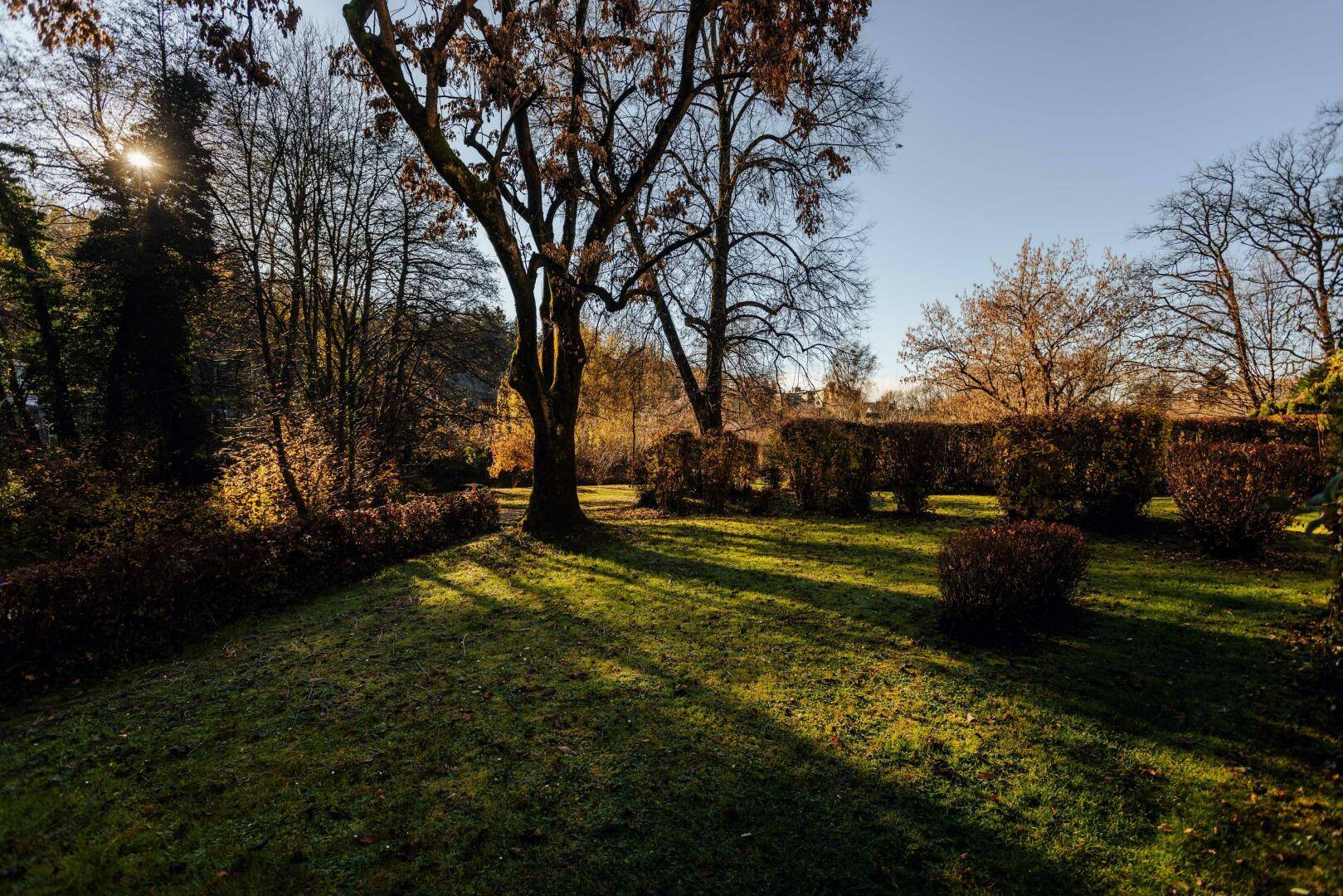 Sonnige Gartenlandschaft mit gepflegtem Rasen, Hecken und alten Bäumen, ideal zum Entspannen.