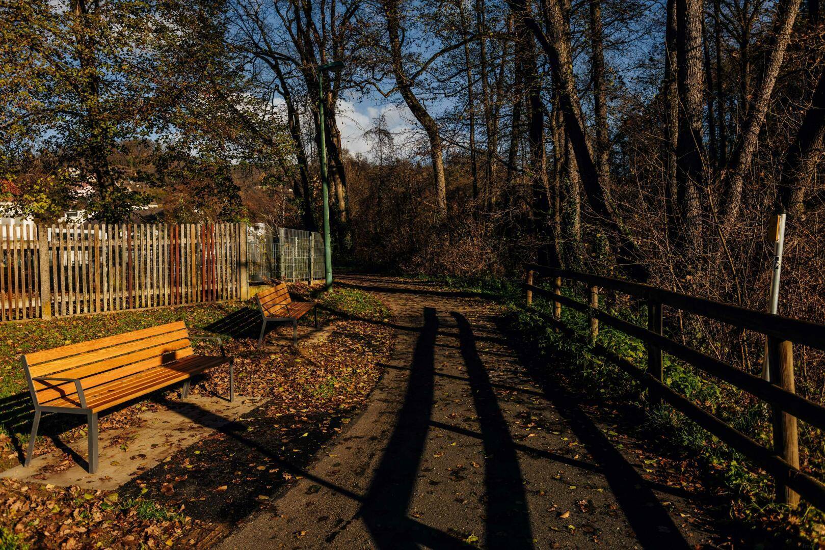 Ein sonniger Spazierweg am Waldrand mit Holzbänken, ideal für Erholung in der Natur.