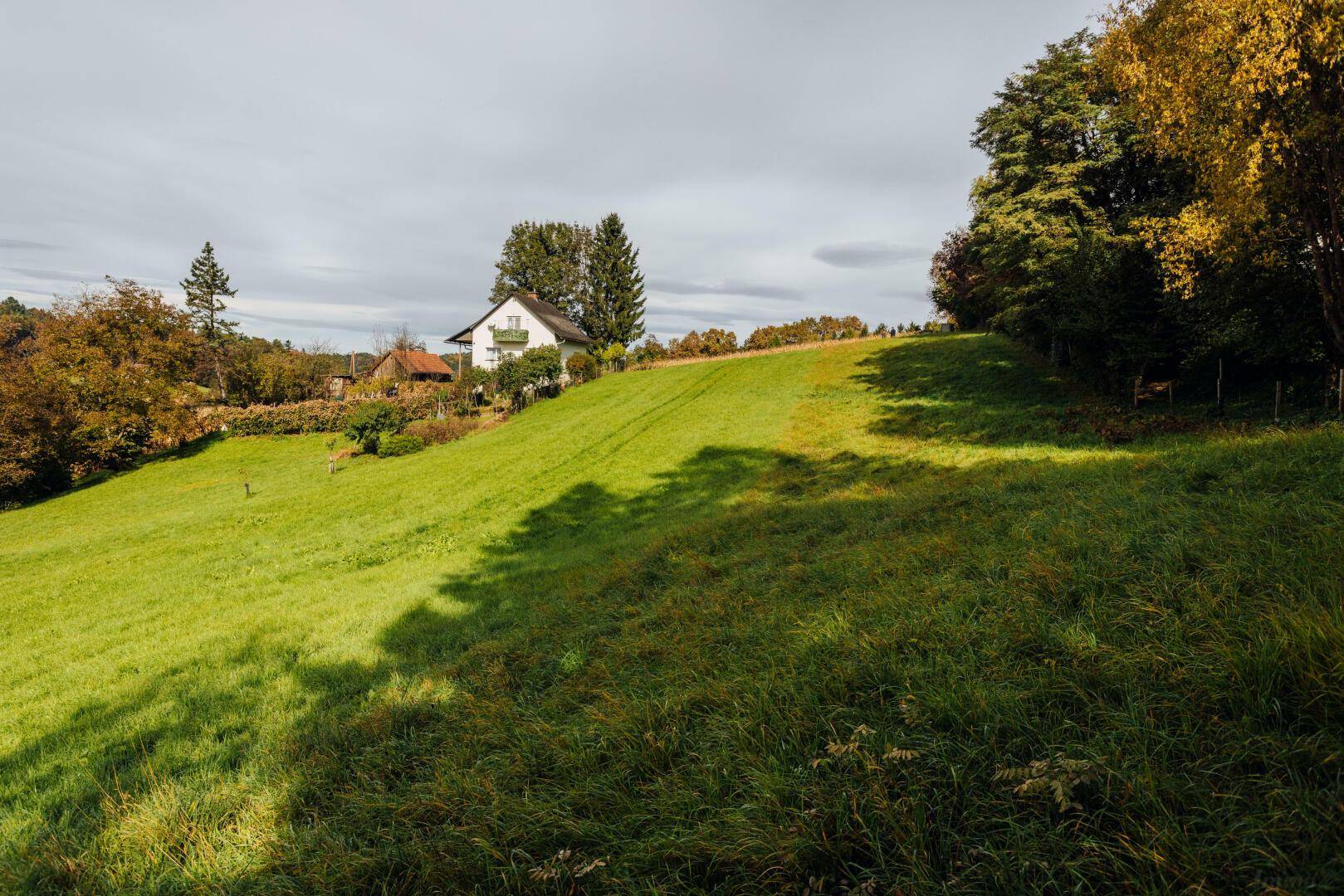 Haus auf einem grünen Hügel, umgeben von Wiesen und Bäumen unter leicht bewölktem Himmel.