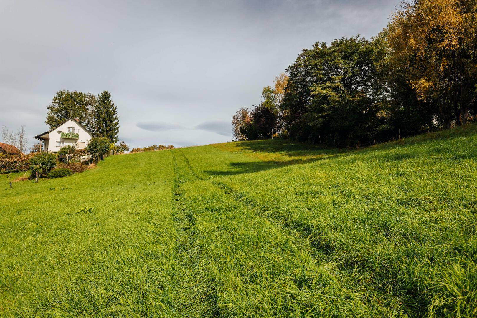 Grüne Wiese auf einem Hügel mit einem Haus im Hintergrund unter bewölktem Himmel.