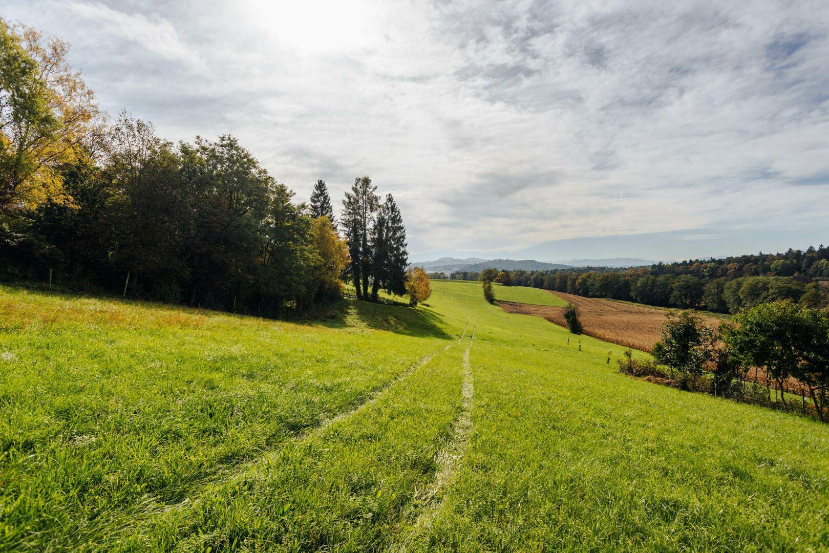 Weitläufige grüne Hügellandschaft mit Feldern und Wäldern unter einem weiten Himmel.