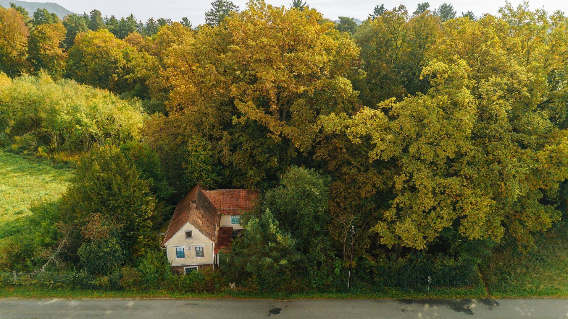 Altes Haus, umgeben von dichtem Herbstlaub und Bäumen, von oben gesehen.