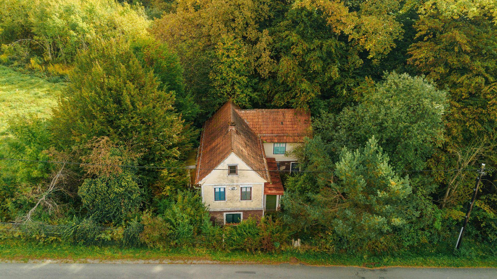 Altes, von dichtem Baumbestand umgebenes Haus mit Ziegeldach in ländlicher Lage.