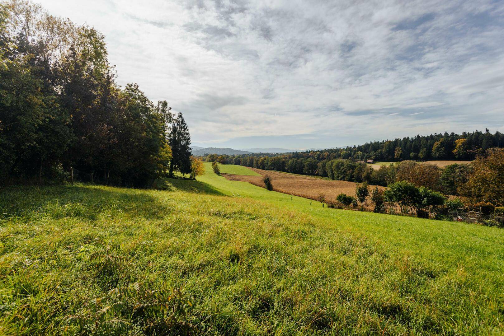 Sanfte grüne Hügel und weite Felder erstrecken sich unter einem hellen, bewölkten Himmel.