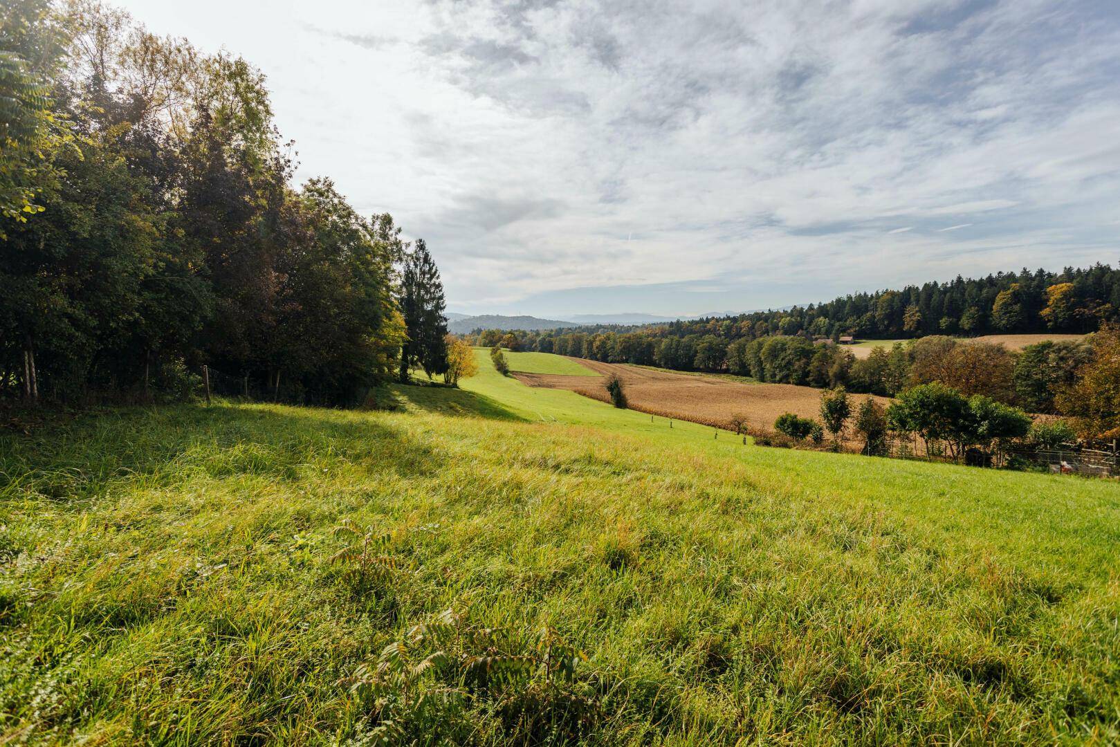 Idyllische Landschaft mit grünen Wiesen, Bäumen und Ackerland unter einem weiten Himmel.