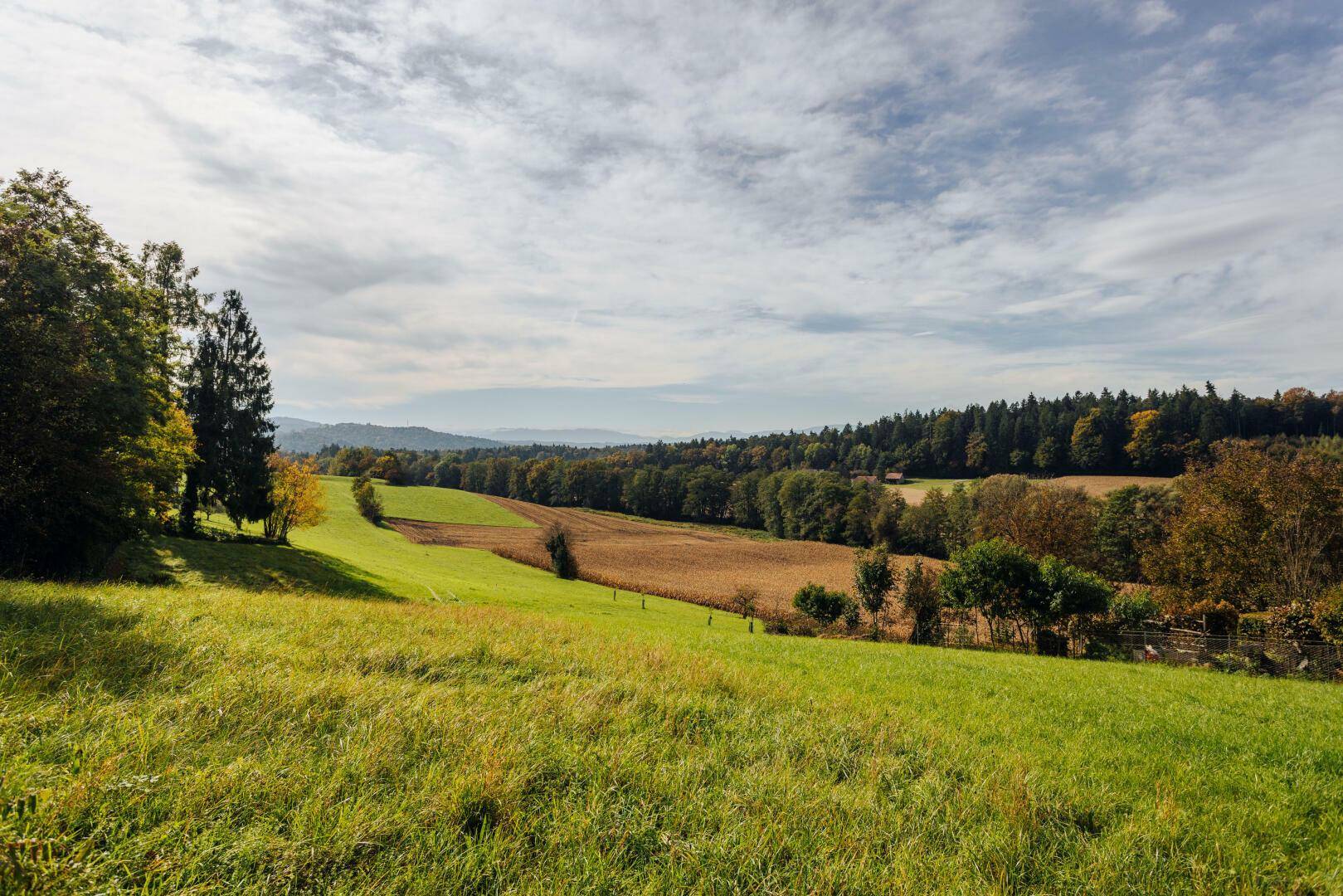 Panoramablick über sanfte grüne Hügel, weite Felder und ferne Wälder unter einem teilweise bewölkten Himmel.