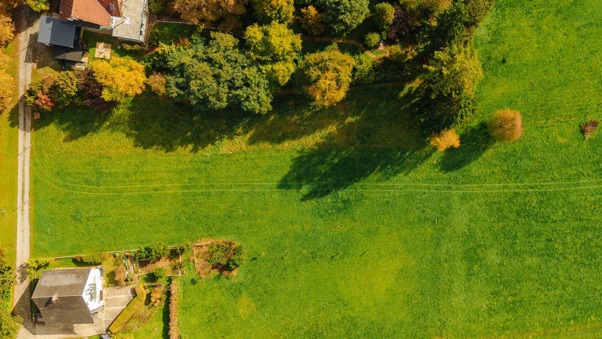 Senkrechte Luftaufnahme einer weitläufigen grünen Wiese mit einem Haus am Rand und Schatten von Bäumen.