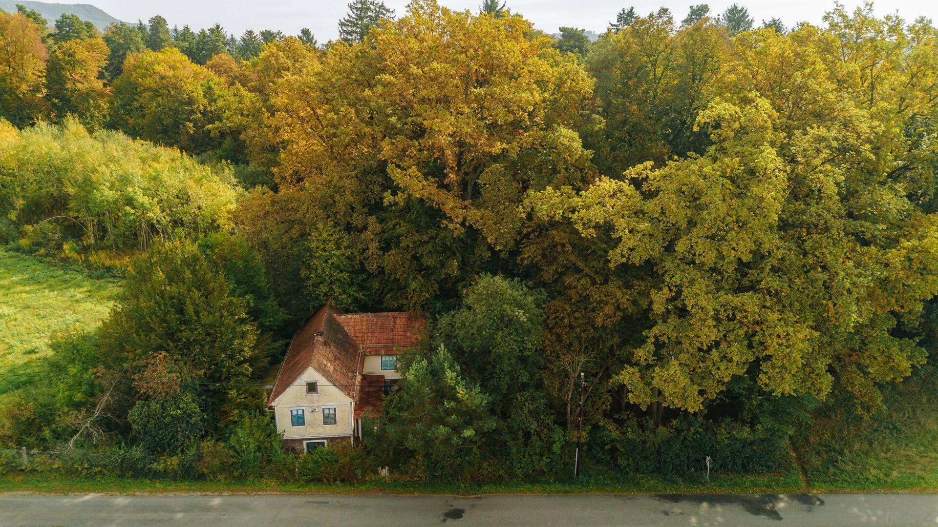 Verstecktes Haus mit rotem Dach, eingebettet in eine üppige Waldlandschaft mit herbstlichem Laub.