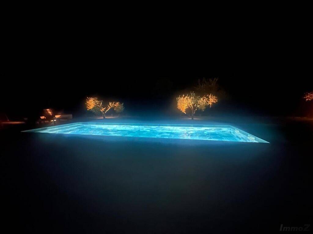 Beleuchteter Swimmingpool bei Nacht, umgeben von dezent beleuchteten Bäumen.