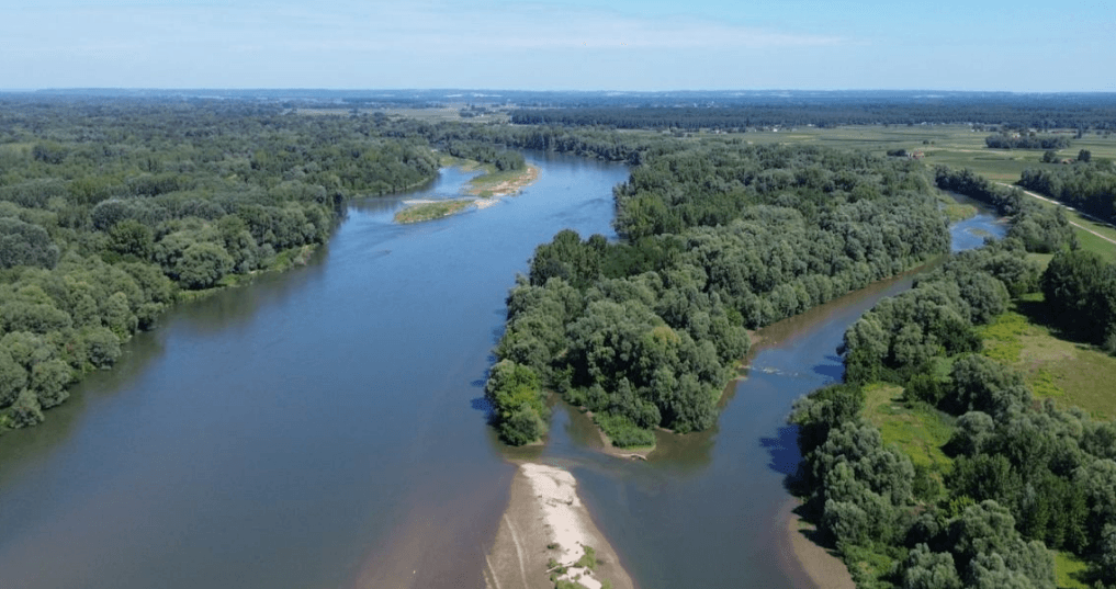 Weitläufige Luftaufnahme eines Flusses mit bewaldeten Inseln und üppiger Naturlandschaft unter blauem Himmel.