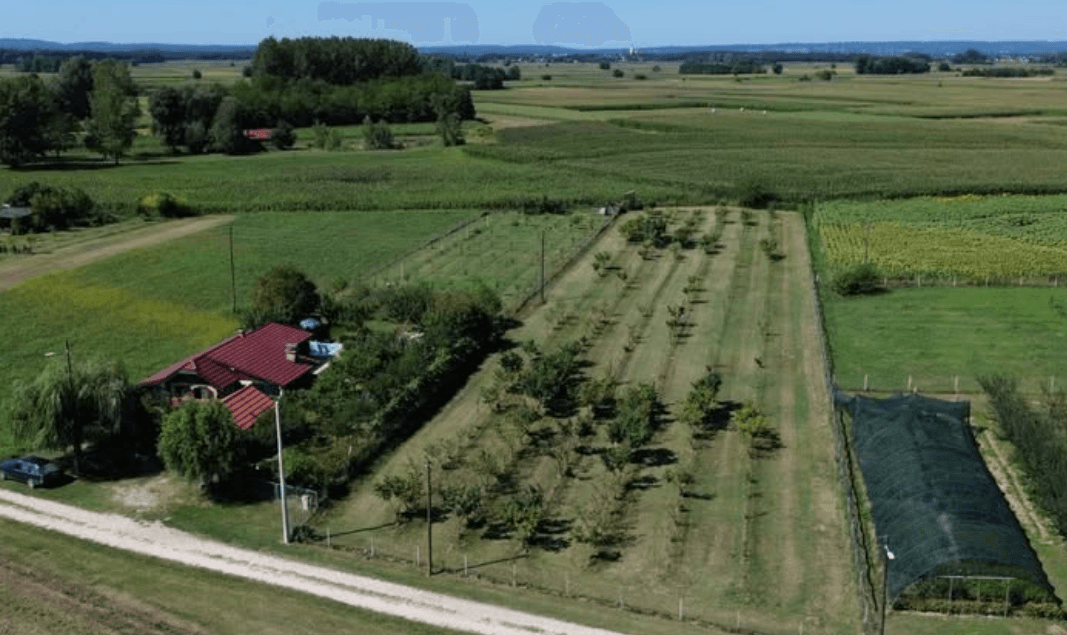 Luftaufnahme eines Hauses mit Obstgarten und weiten Feldern in einer ländlichen Umgebung.