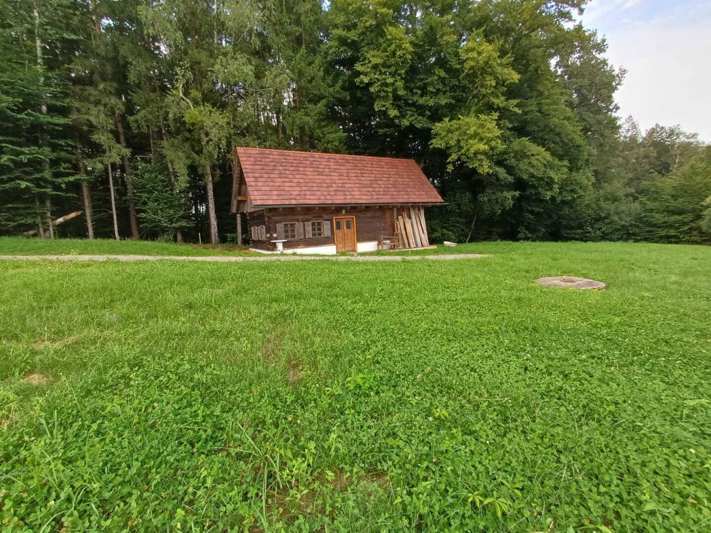 Frontansicht der charmanten Holzhütte mit rotem Dach, eingebettet in eine weite grüne Wiese vor dem Wald.