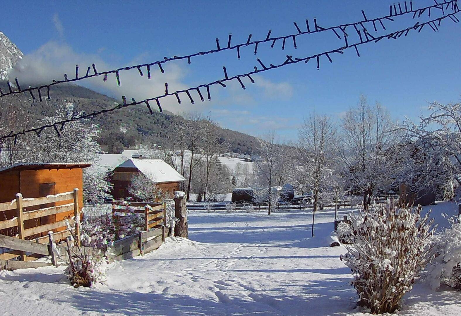 Winterlandschaft mit schneebedeckten Bäumen, einem Schuppen und Bergen unter klarem blauem Himmel.