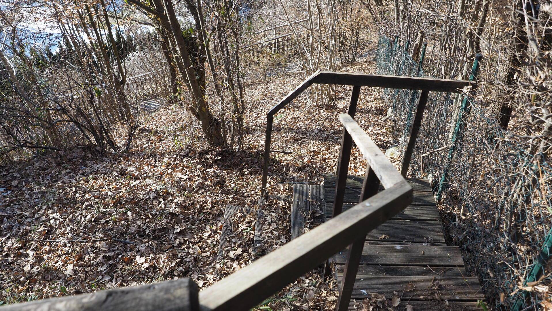 Hölzerne Treppe führt einen bewaldeten Hang hinunter, umgeben von trockenem Laub und Bäumen.