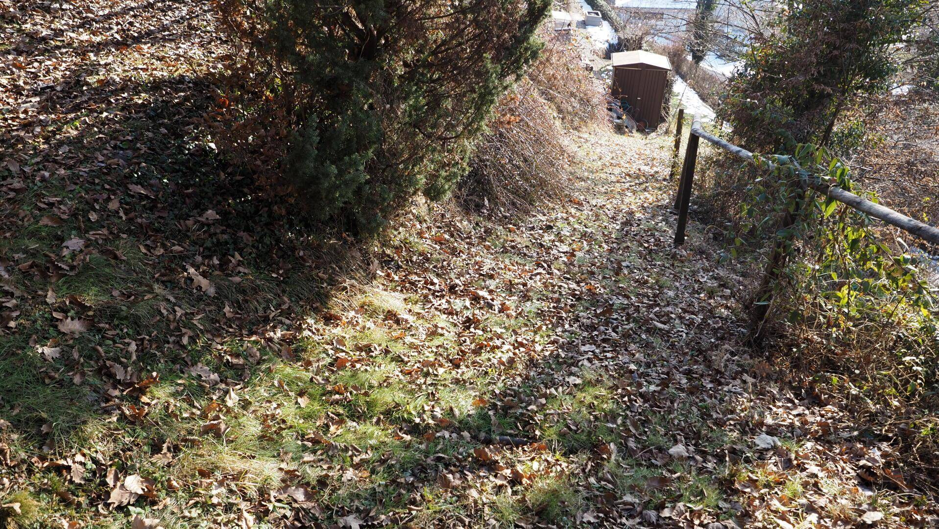 Naturbelassener Pfad führt den Hang hinunter, umgeben von Bäumen und Laub.