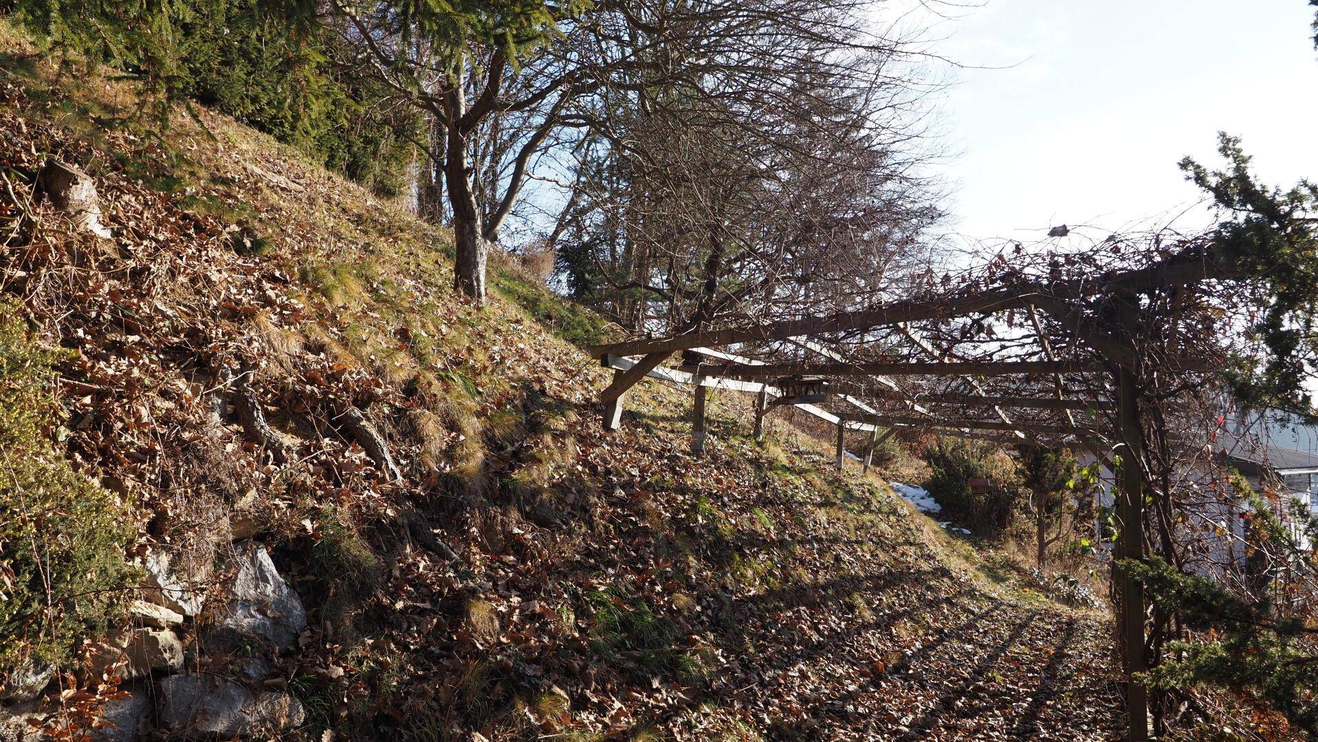 Terrassierter Gartenbereich in Hanglage mit Holzspalier und natürlicher Bepflanzung.