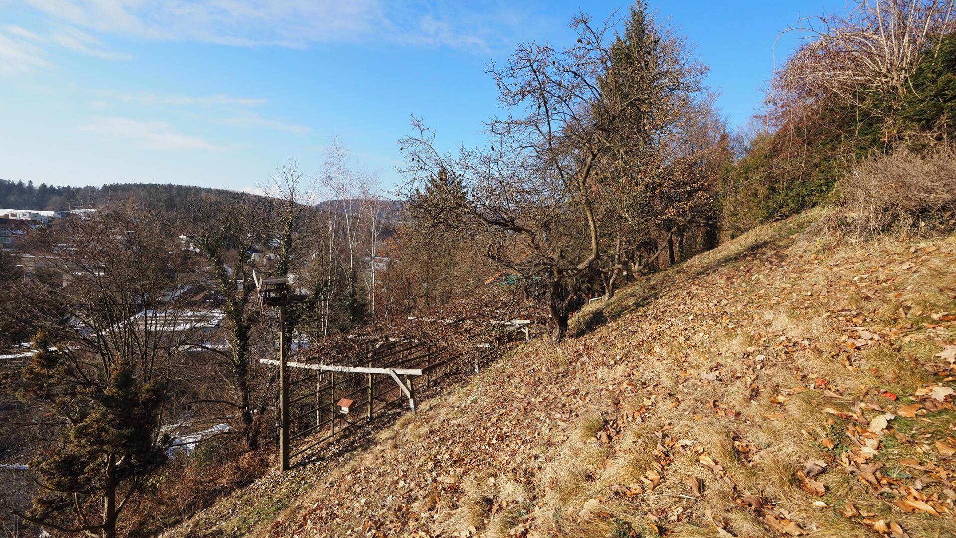 Sonniger Hangbereich des Grundstücks mit trockener Vegetation und weitem Blick in die Natur.