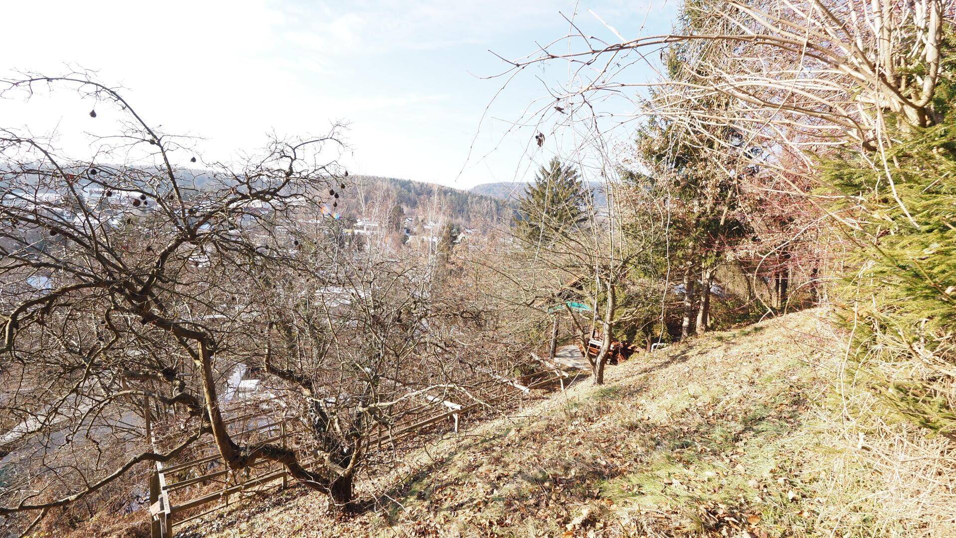 Weitläufige Hanglage des Grundstücks mit Blick auf die umliegende Hügellandschaft und Bäume.