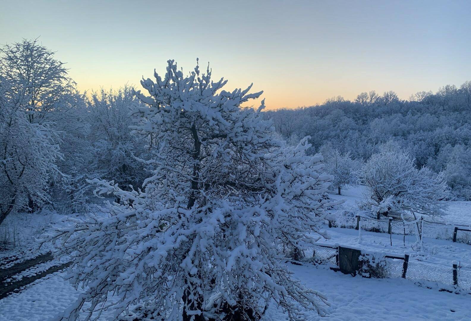 Winterliche Landschaft mit schneebedeckten Bäumen und Feldern bei Sonnenaufgang.