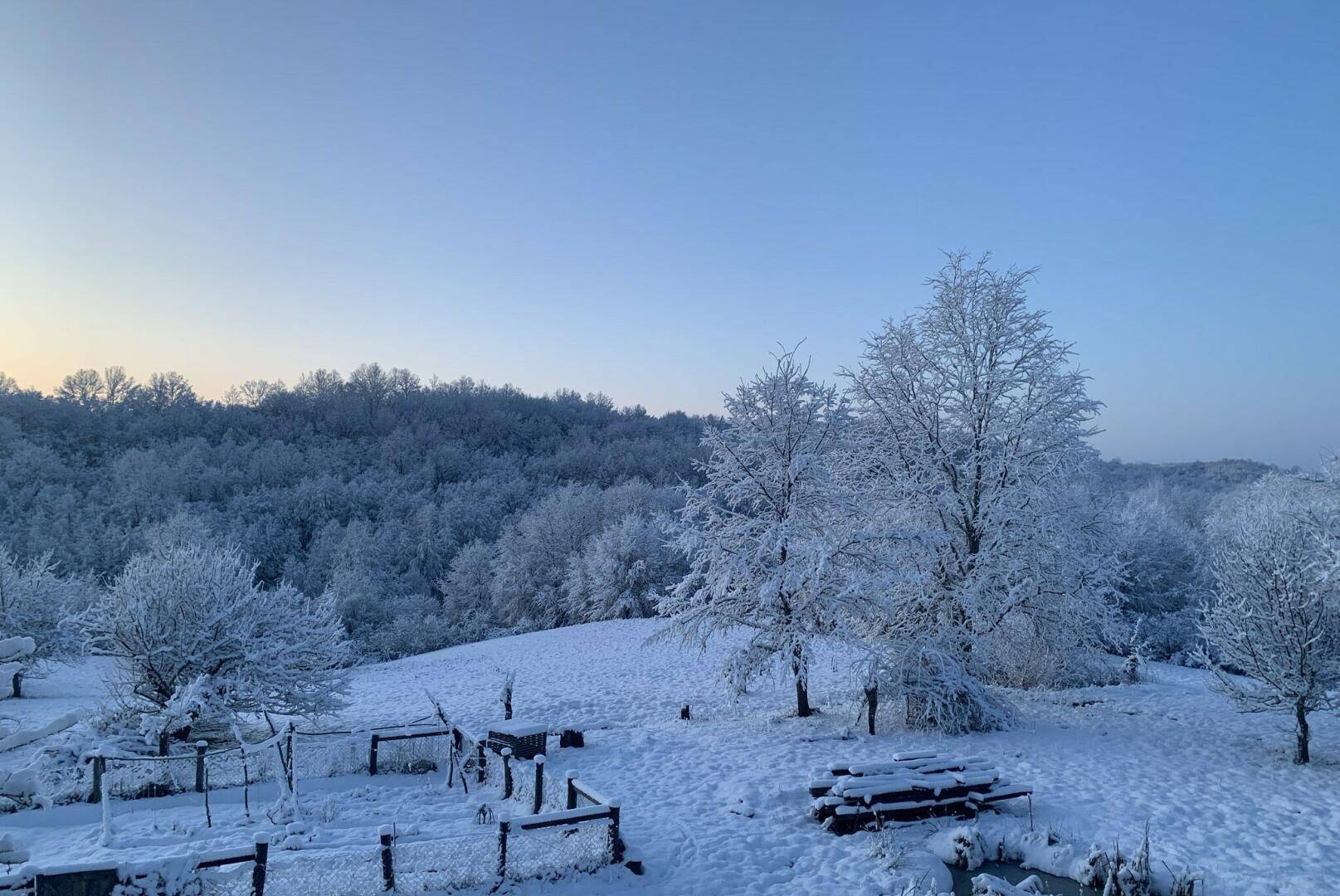 Verschneite Winterlandschaft mit Bäumen und weitem Blick unter klarem Himmel.