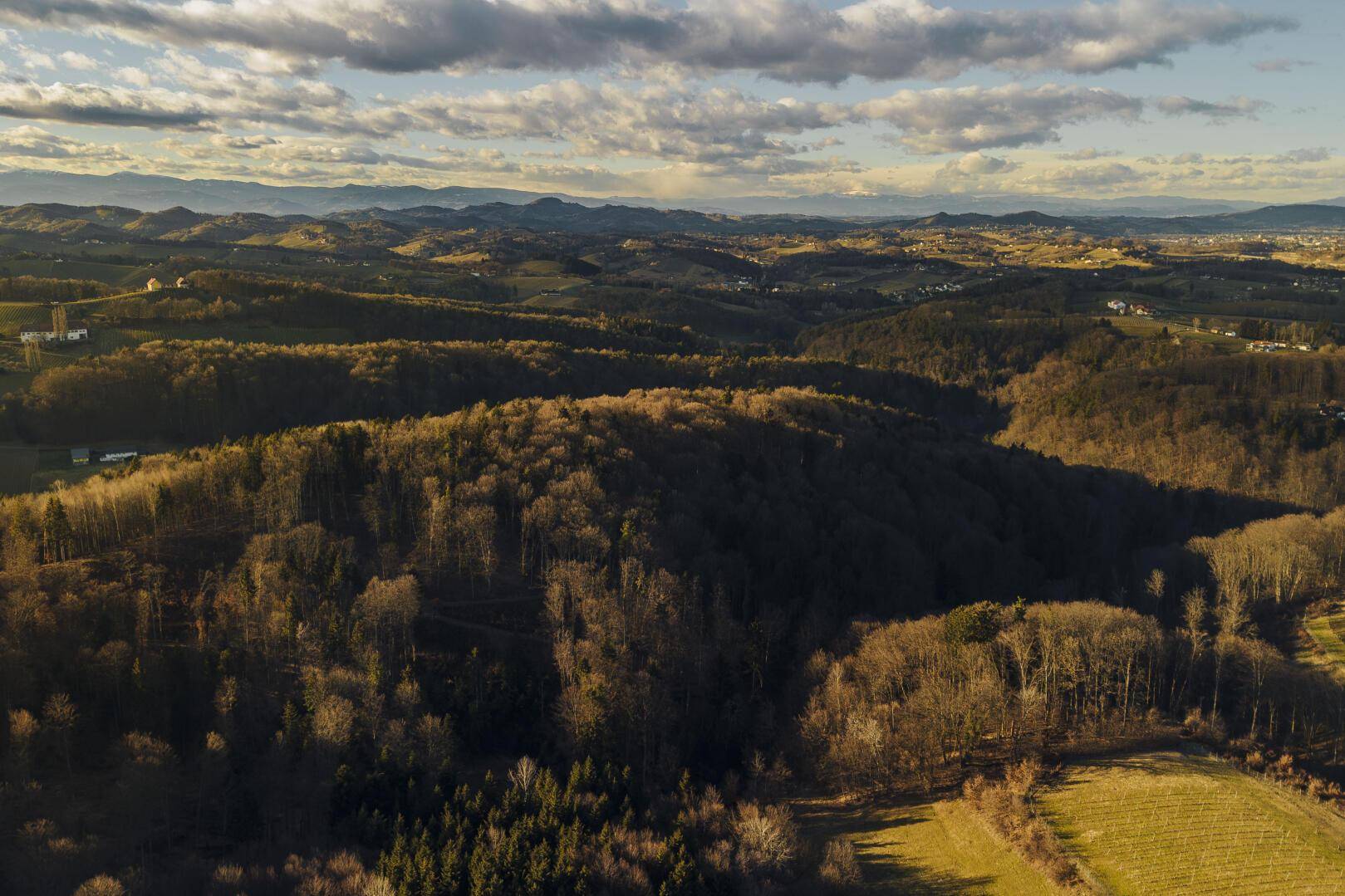 Panoramische Luftaufnahme einer ausgedehnten Waldlandschaft mit sanften Hügeln unter bewölktem Himmel.