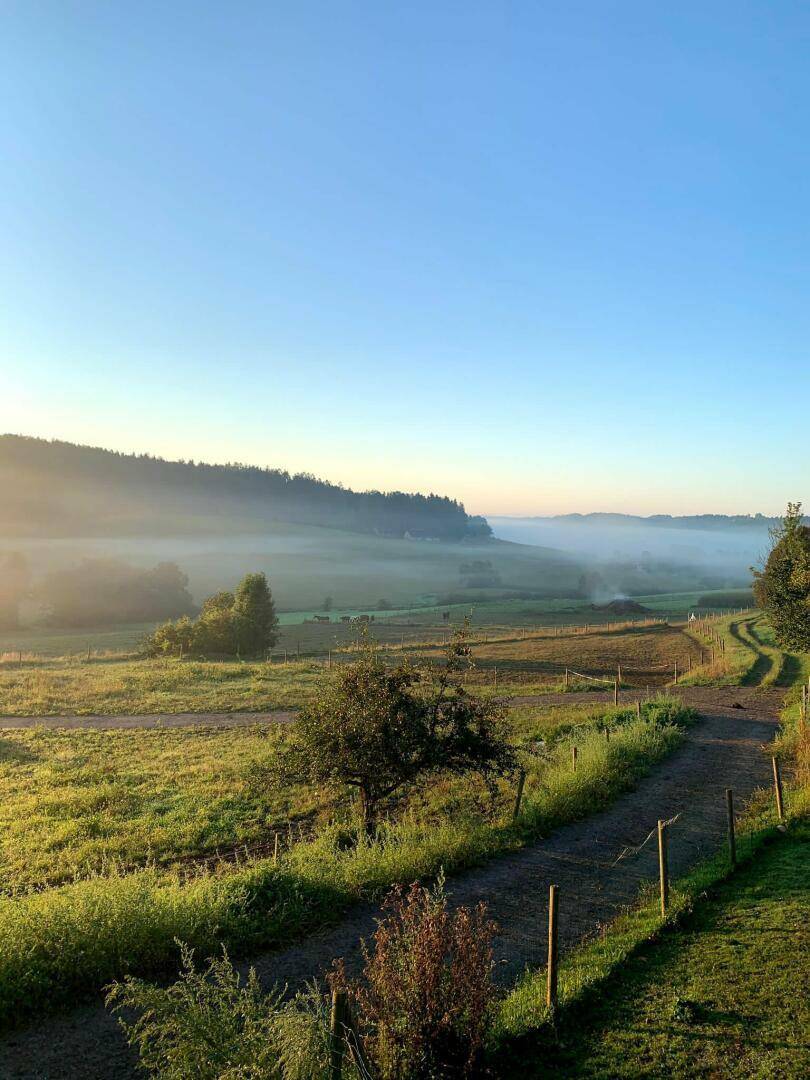 Malerische ländliche Landschaft im Morgennebel mit Feldern und Bäumen unter klarem Himmel.