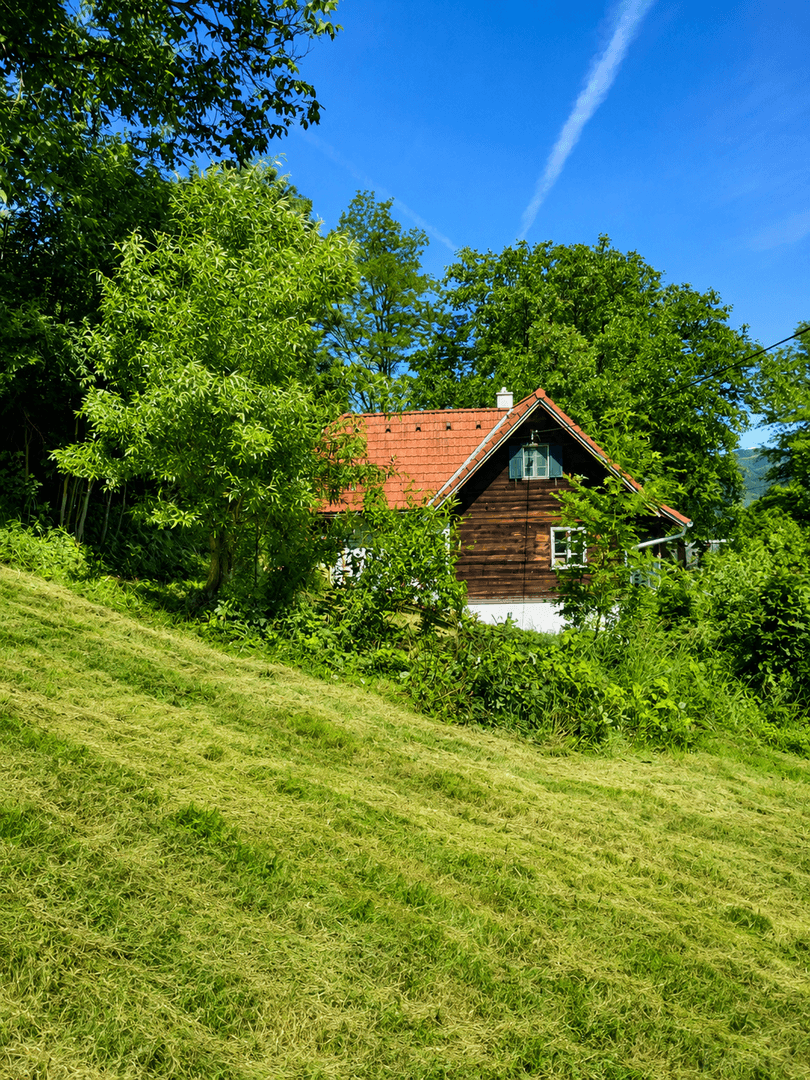 Charmantes Holzhaus auf einem Hügel, umgeben von frisch gemähtem Rasen und üppiger Vegetation.