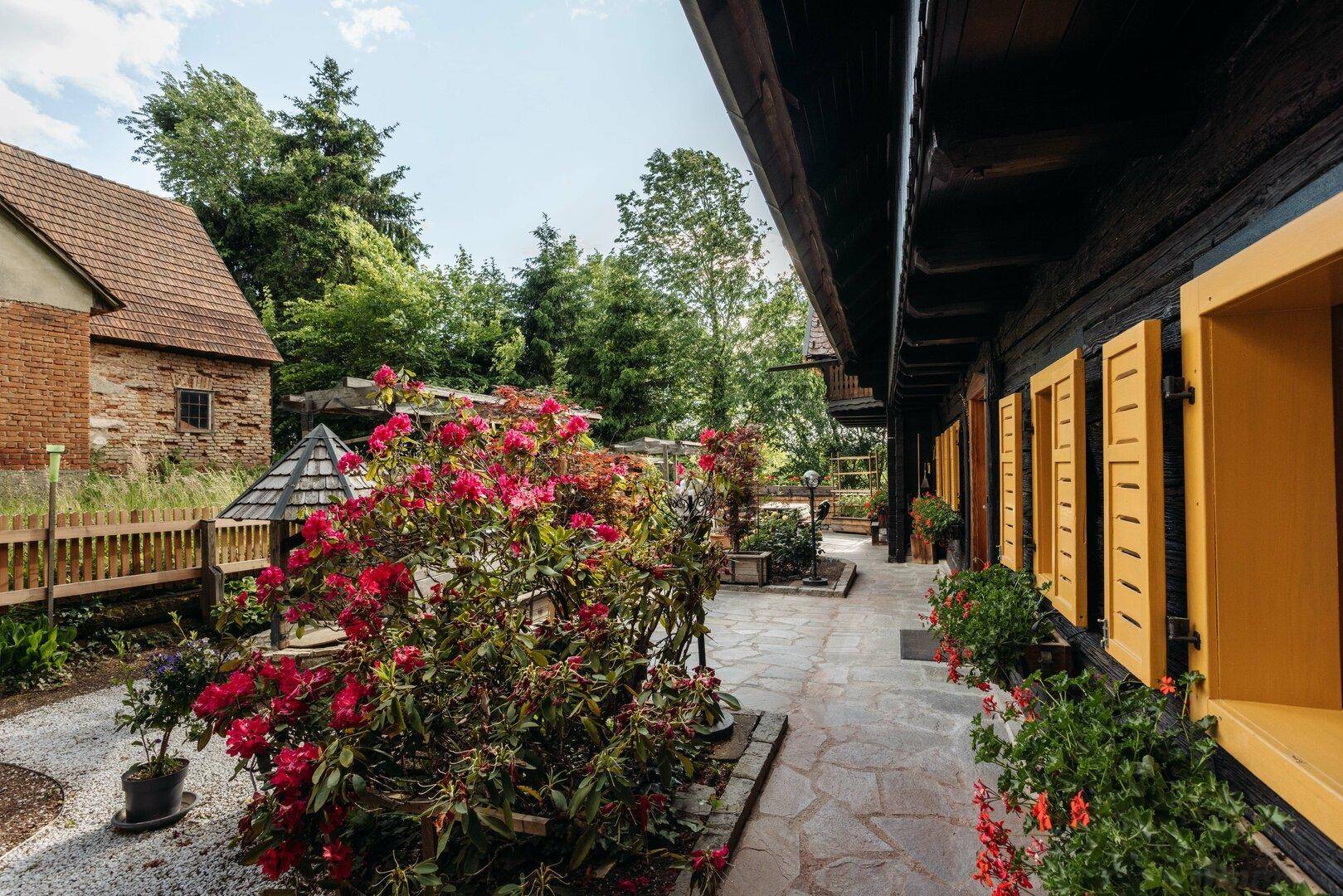 Sonniger Terrassenbereich mit üppigen roten Blumen und Blick auf die grüne Landschaft.