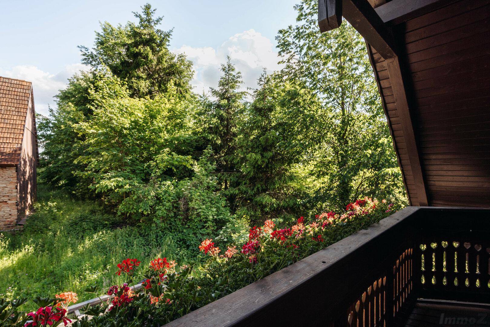 Kleiner Balkon mit Blumenkästen und Blick ins Grüne.