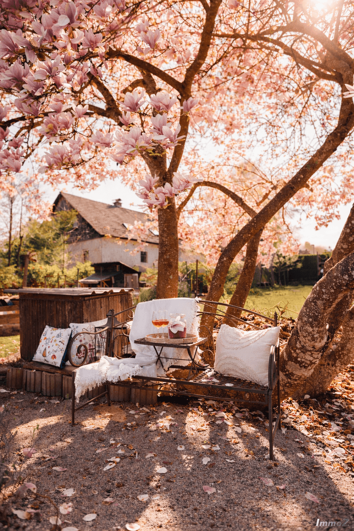 Gemütlicher Sitzbereich im Garten unter einem blühenden Magnolienbaum mit einer Bank und Getränken.
