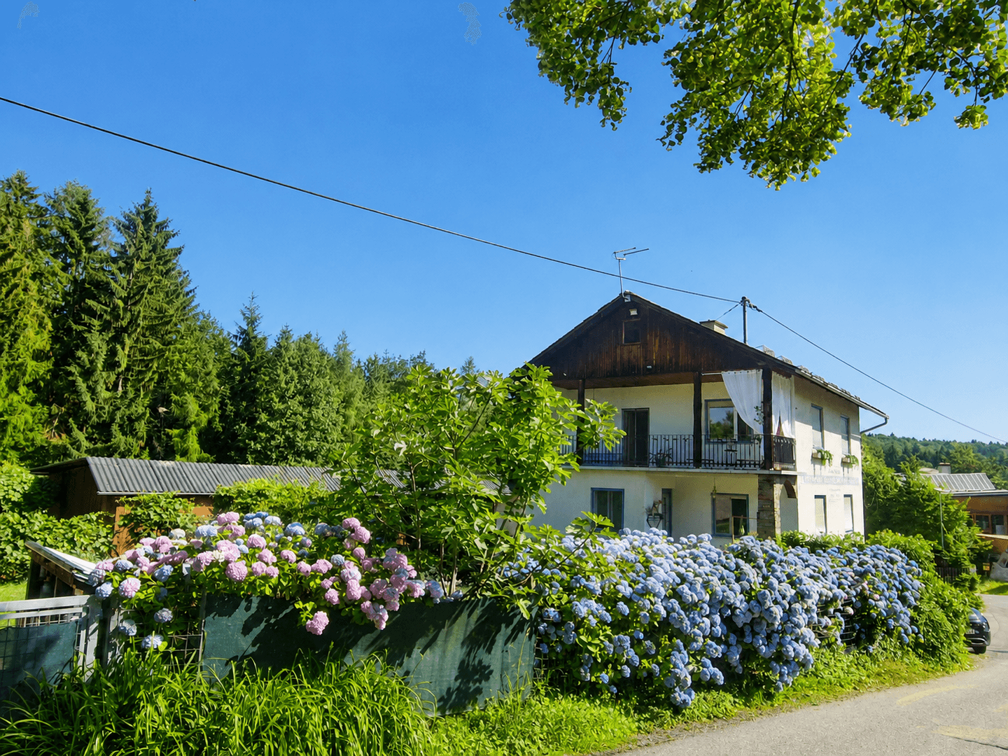 Hausfassade mit Balkon, umgeben von üppigem Grün und blühenden Hortensien unter strahlend blauem Himmel.