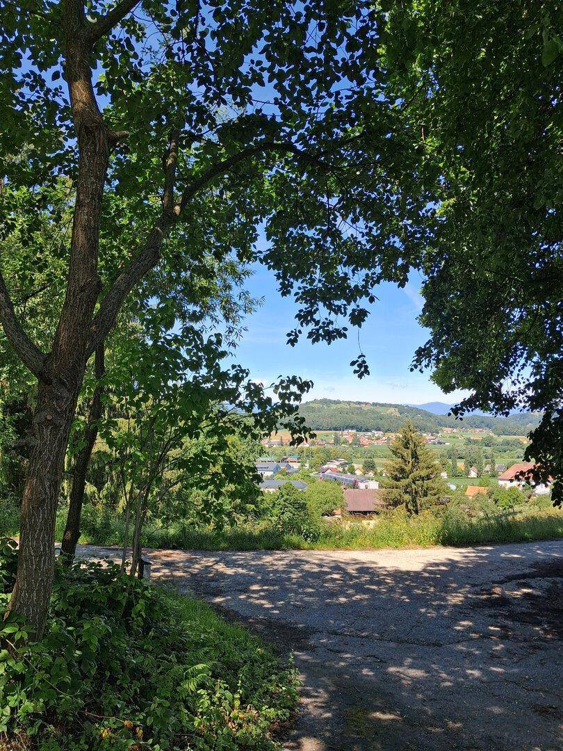 Panoramablick durch Bäume auf ein Dorf in einem Tal mit hügeliger Landschaft im Hintergrund.