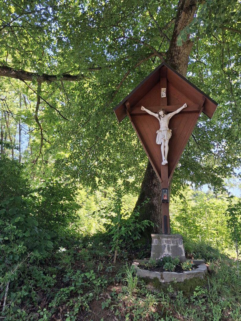 Hölzernes Kruzifix unter einem großen Baum, umgeben von dichtem Grün in der Natur.