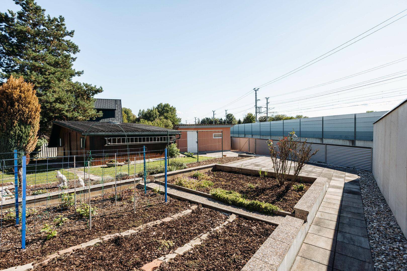 Großer Gemüsegarten mit Hochbeeten und einem Gartenhaus im Hintergrund unter klarem Himmel.