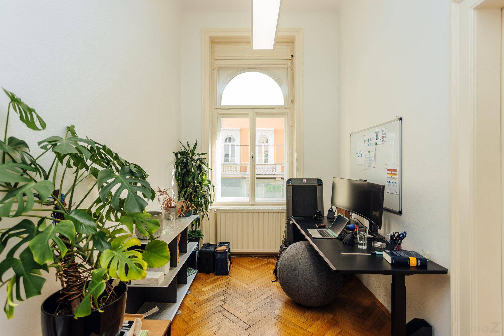 Gemütliches Büro mit Schreibtisch, Pflanzen und einem großen Fenster, das viel Licht hereinlässt.