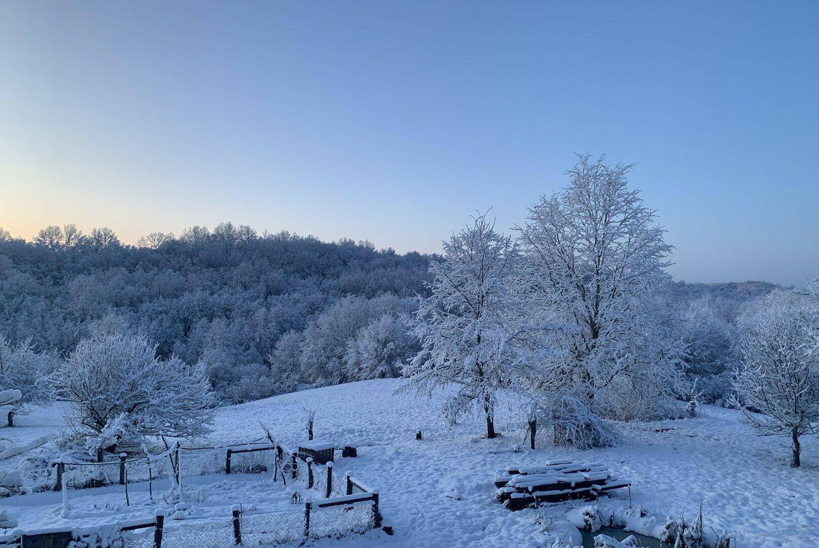 Winterliche Landschaft mit schneebedeckten Bäumen und Hügeln bei Sonnenaufgang.