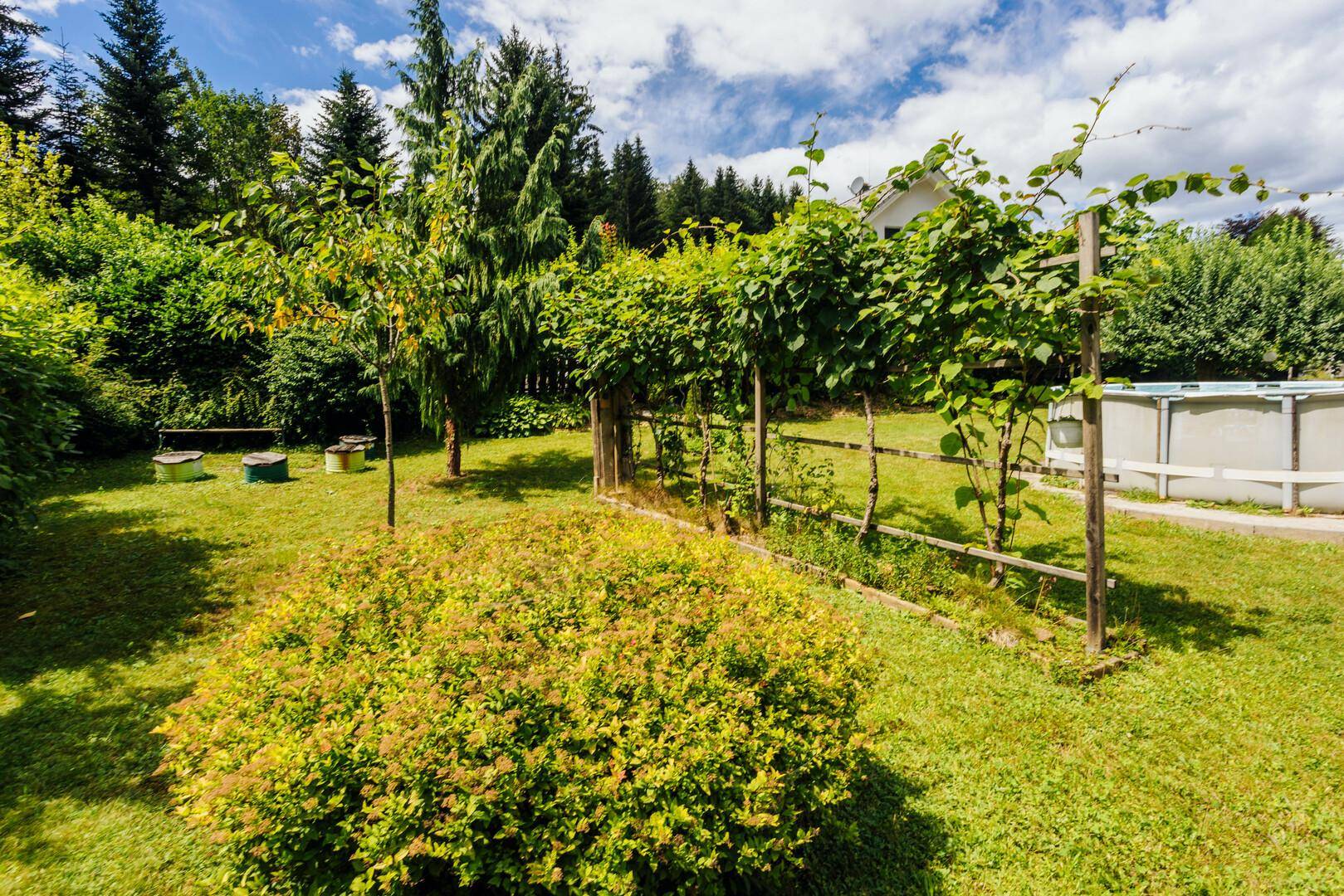 Grüner Garten mit Rankhilfen für Pflanzen, Obstbäumen und viel natürlicher Vegetation.