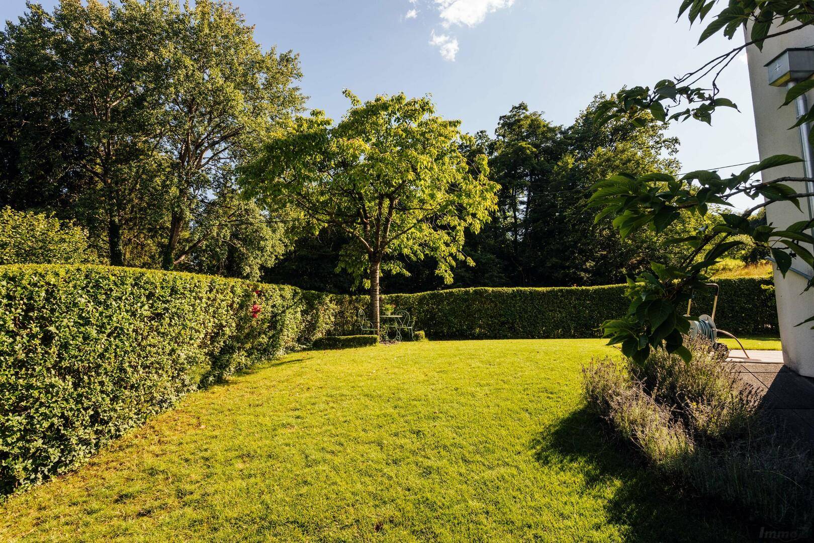 Weitläufiger, gepflegter Garten mit großem Rasen und hohen Hecken für Privatsphäre.