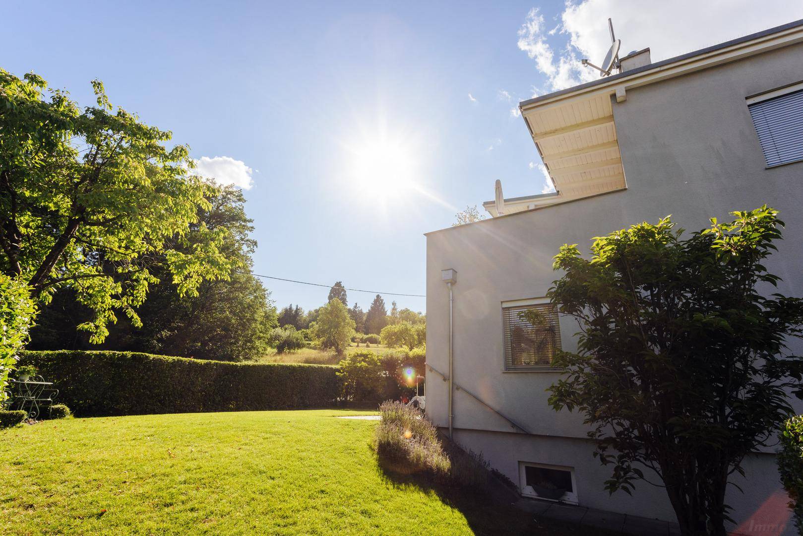 Sonnige Seite des Hauses mit weitläufigem Rasen und üppiger grüner Bepflanzung.