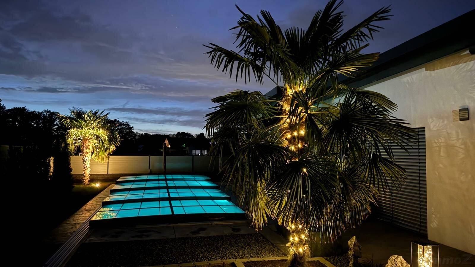 Stimmungsvoller Garten bei Dämmerung mit beleuchteten Palmen und einem abgedeckten Pool.