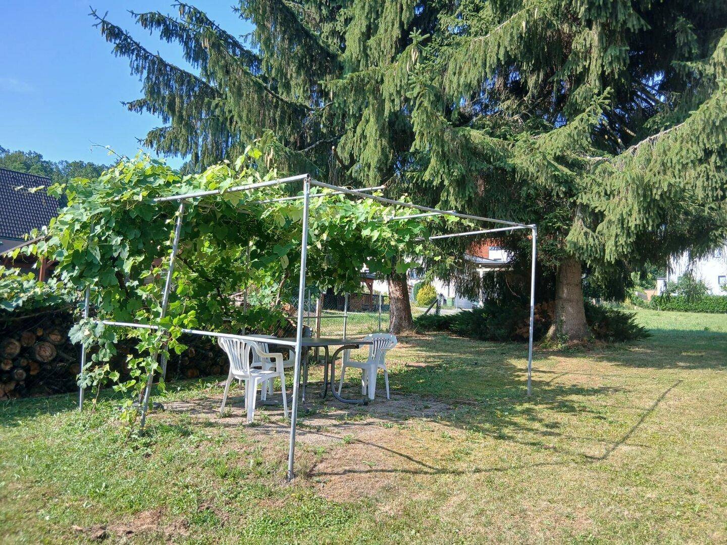 Gartenbereich mit einfacher Pergola, Sitzgelegenheiten und üppigem Grün unter großen Bäumen.