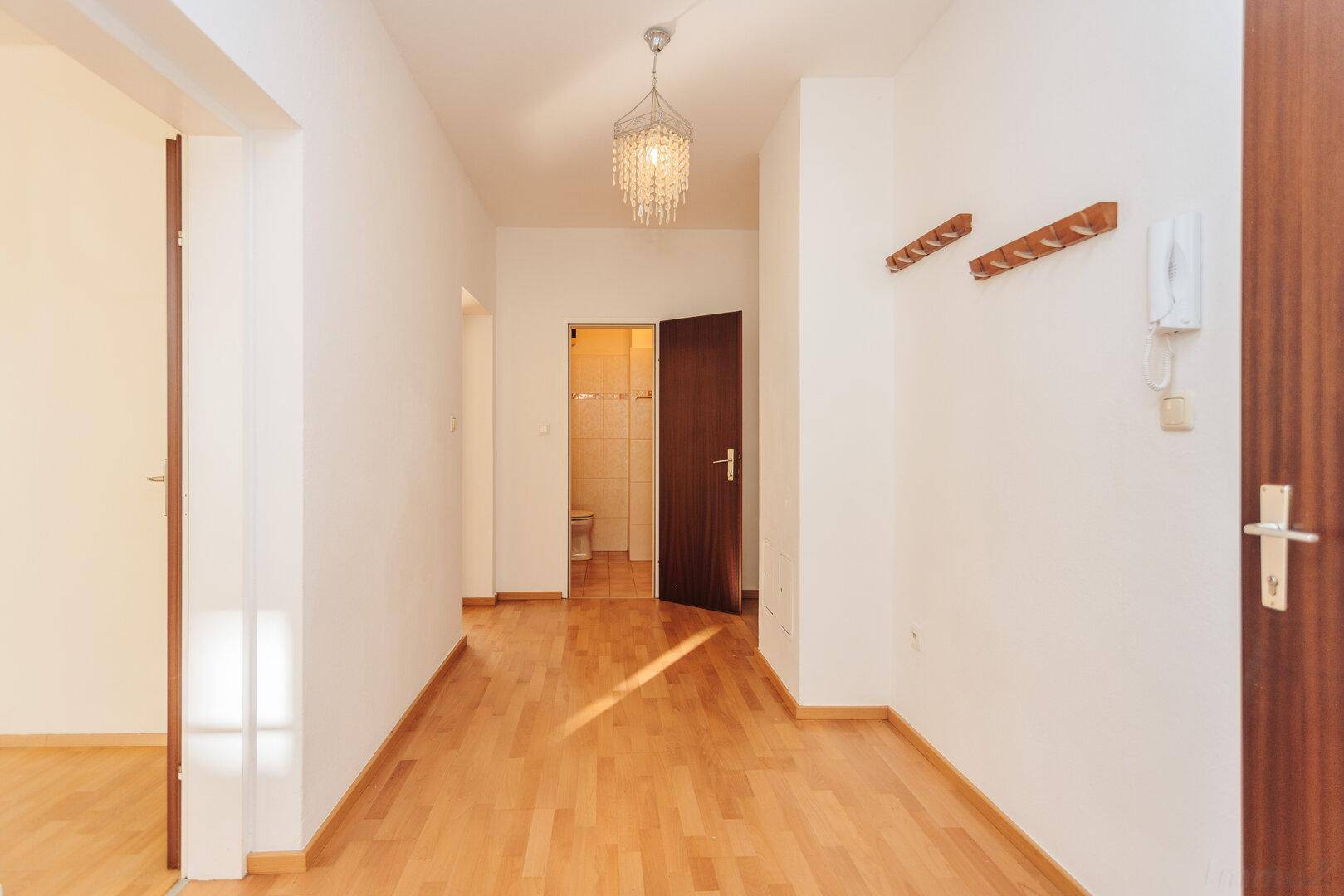 Geräumiger Flur mit hellem Holzboden und Zugang zu weiteren Räumen, inklusive Badezimmer.